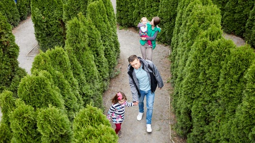 A family walking through a maze